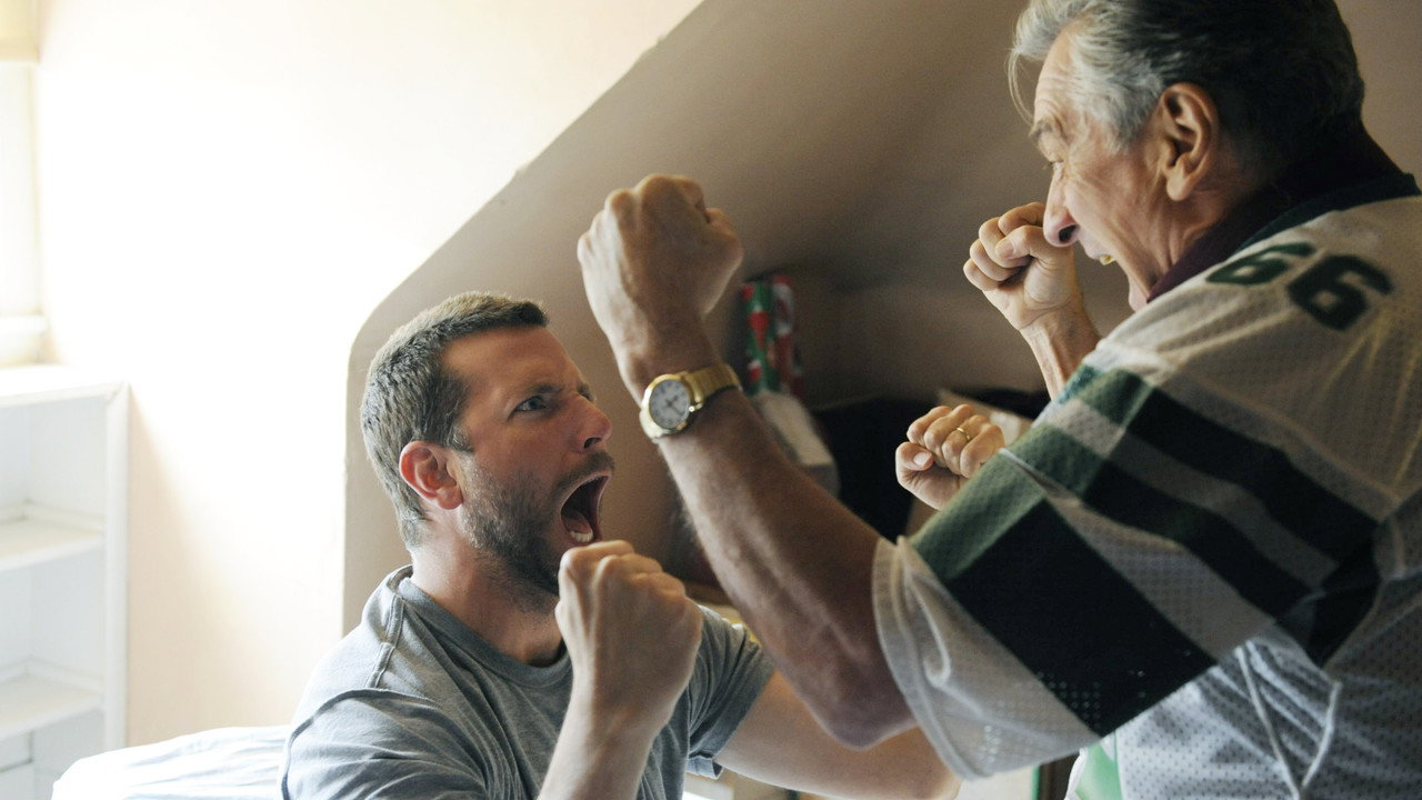 Silver Linings Playbook