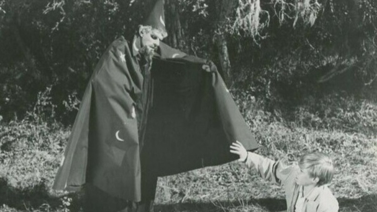 The Princess and the Magic Frog