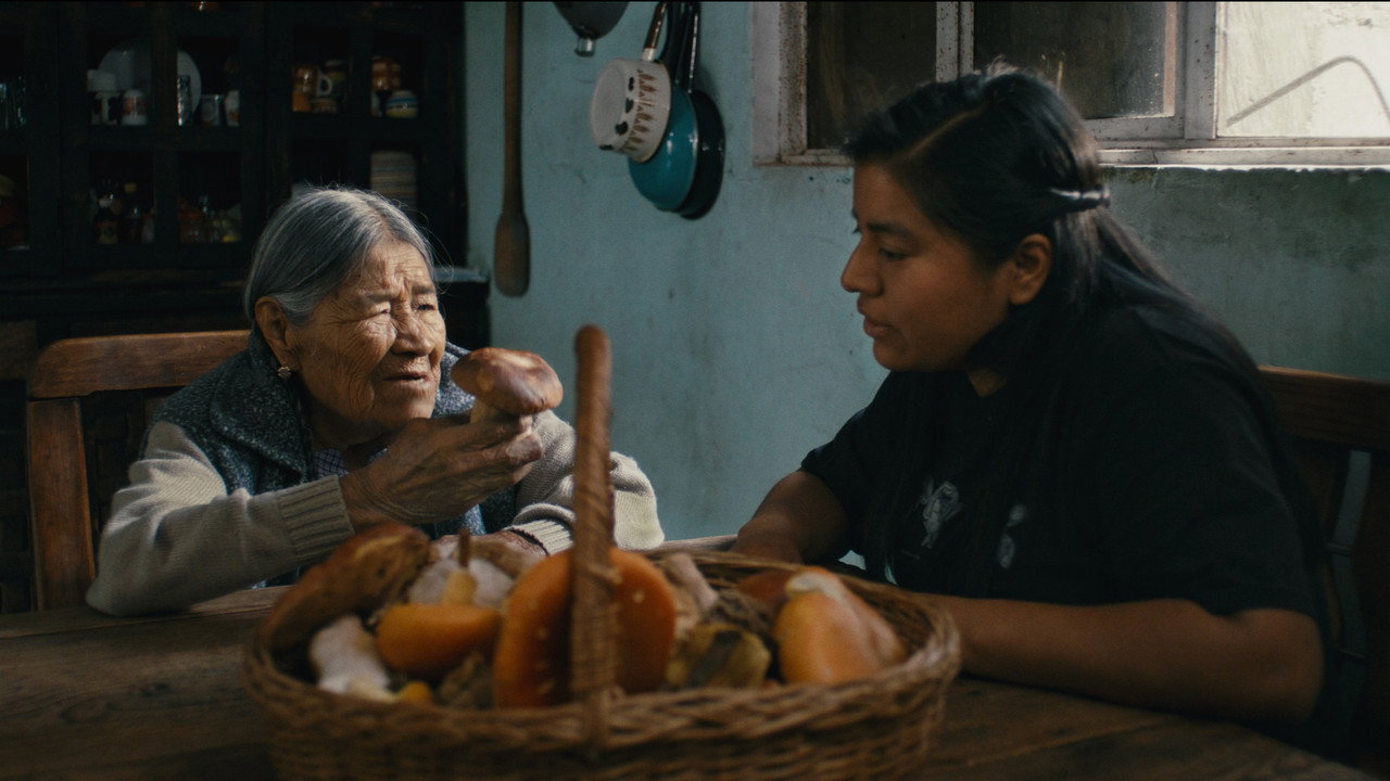 Daughters of the Forest