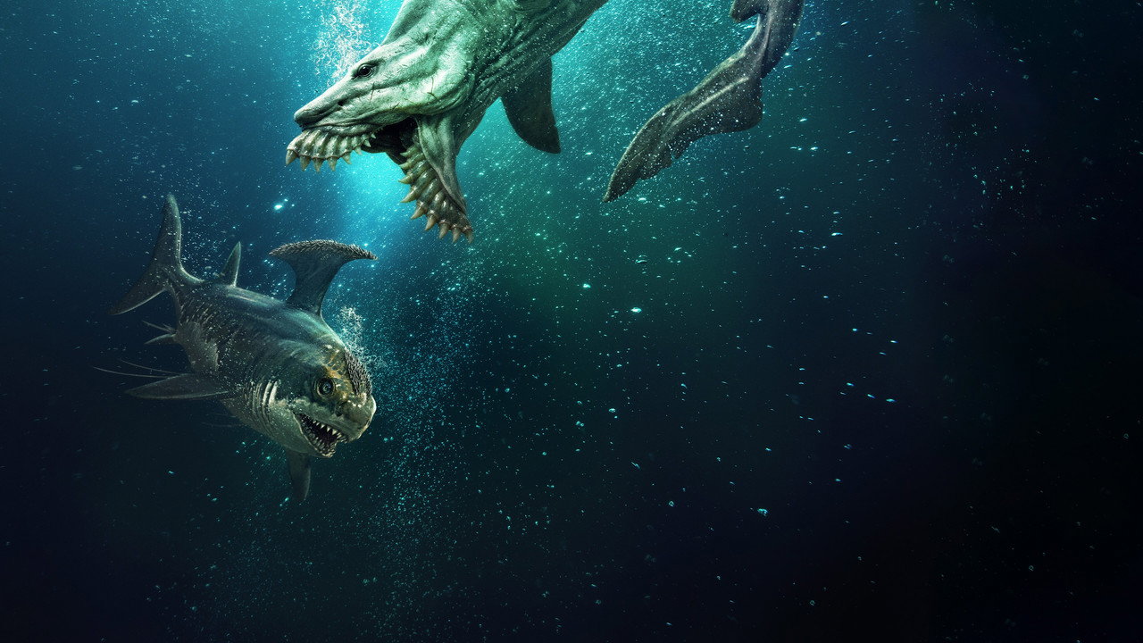 Jurassic Sharks