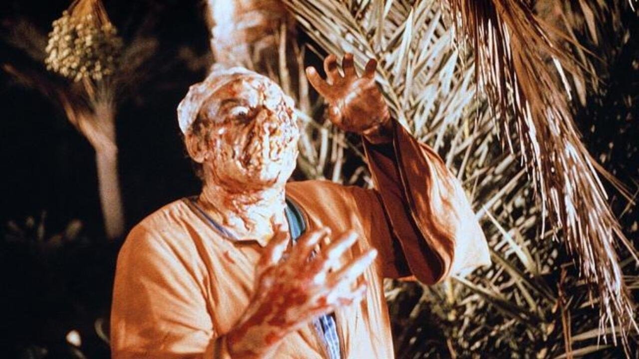 L'aube des zombies
