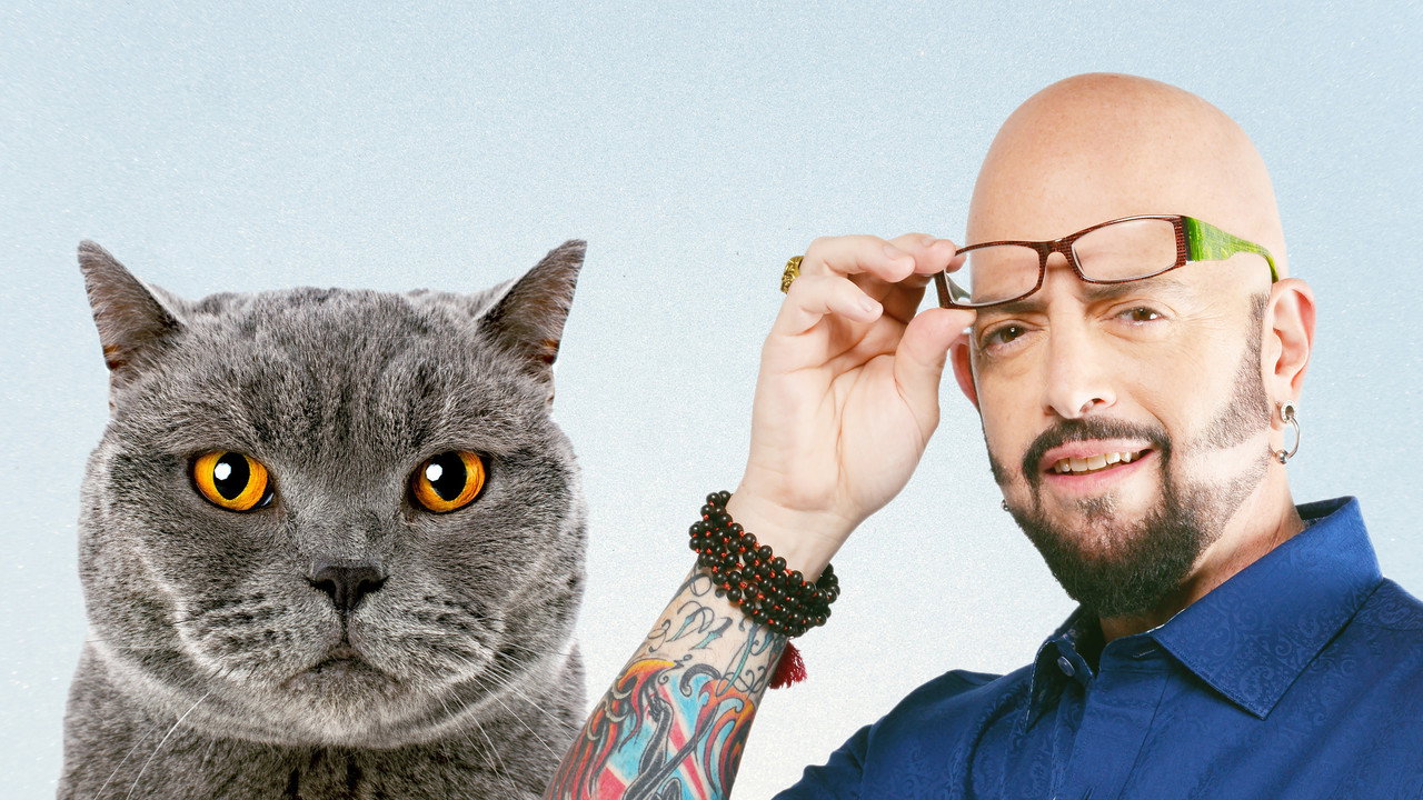 Hell's cat : Mon chat est un cauchemar