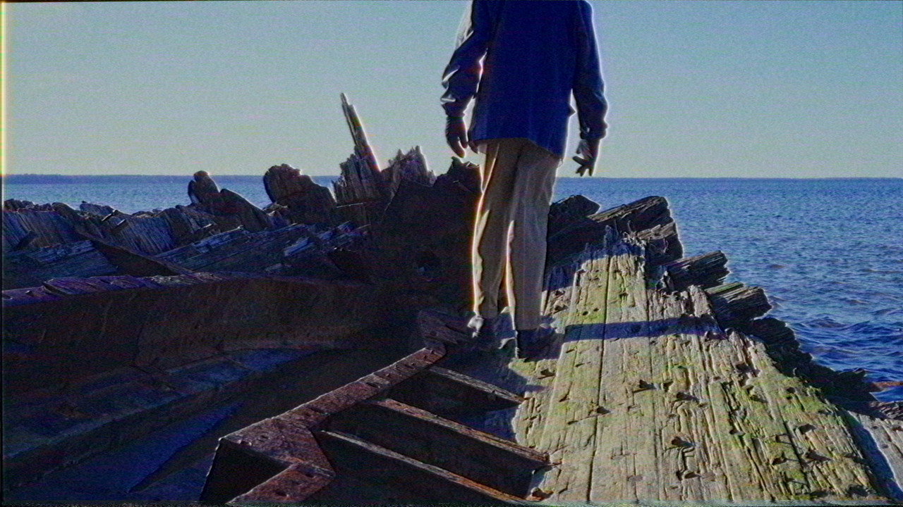 The Terror of the Gulls