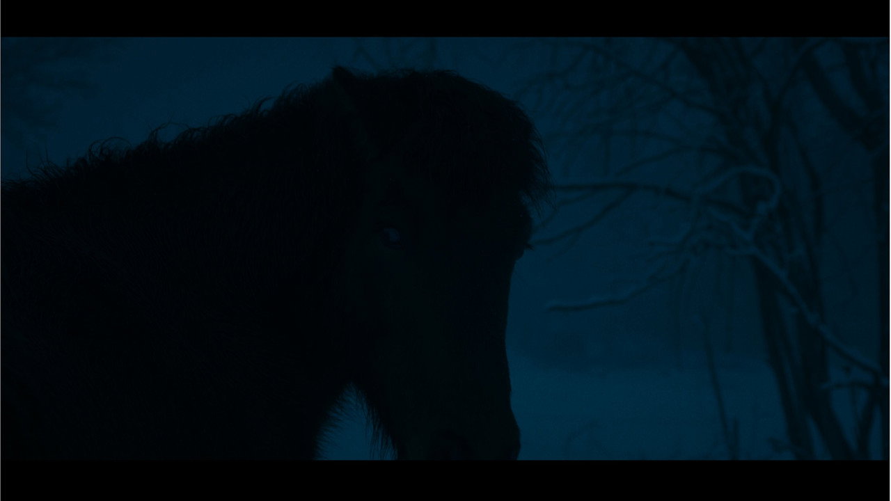 Kosmos