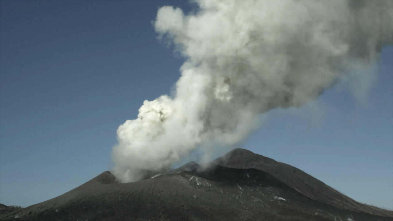 Survivre aux catastrophes, les stratégies de la nature