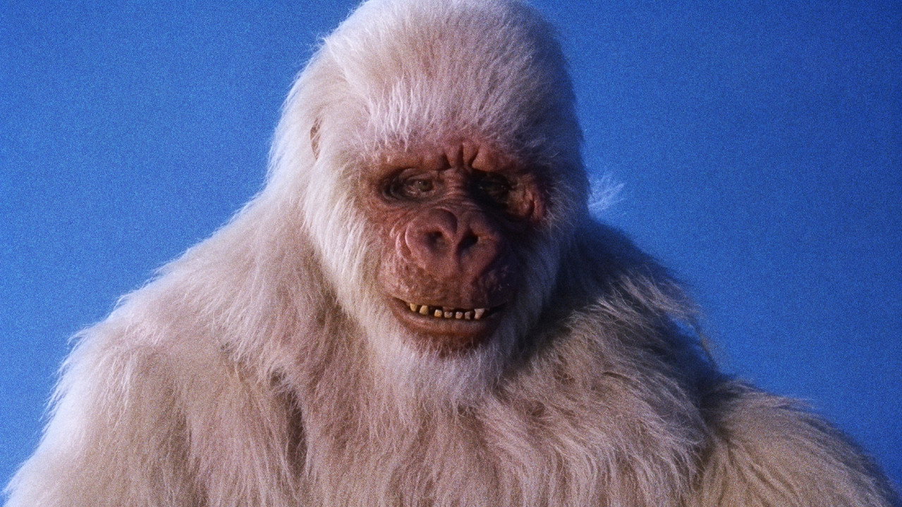 The Ivory Ape