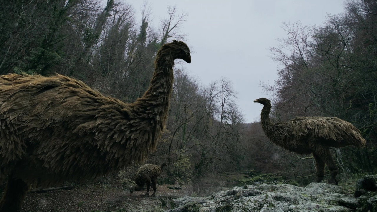 Le mystère des oiseaux géants