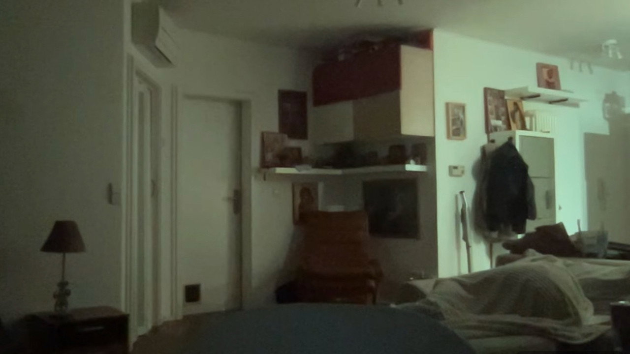 Dahlias Video Diary