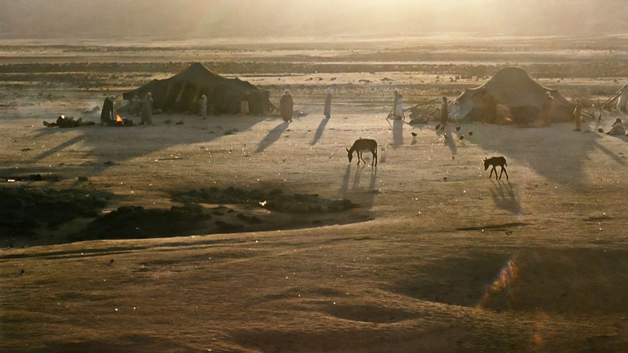 Au commencement, la terre promise