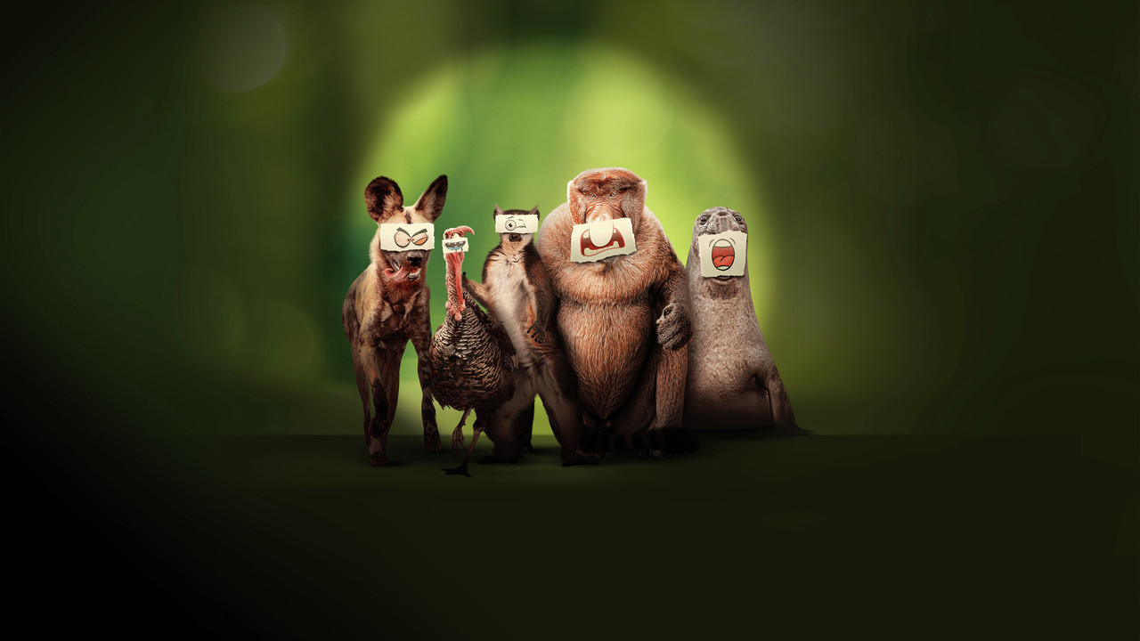 Les outsiders du monde animal