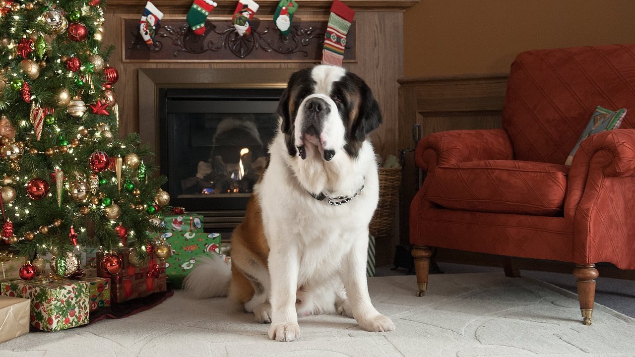 Beethoven sauve Noël