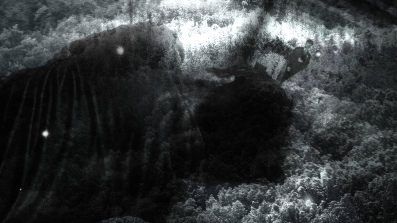 Twilight