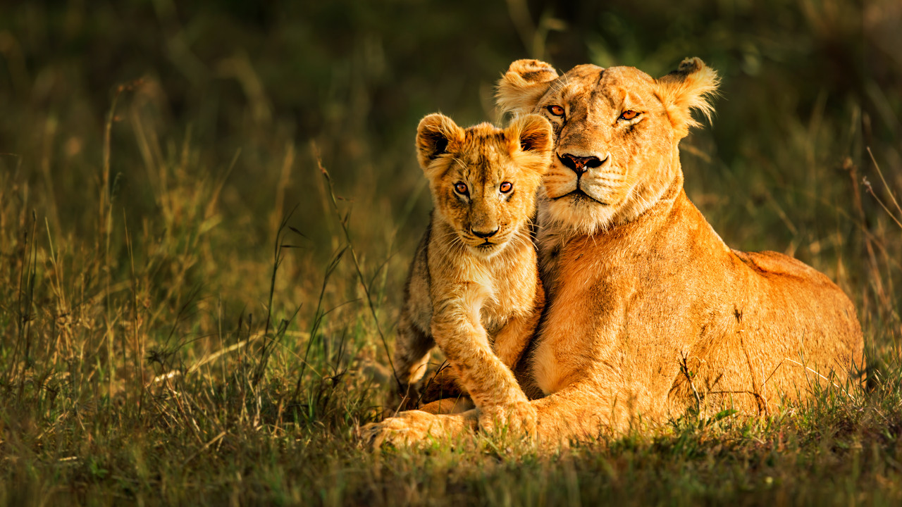 Botswana
