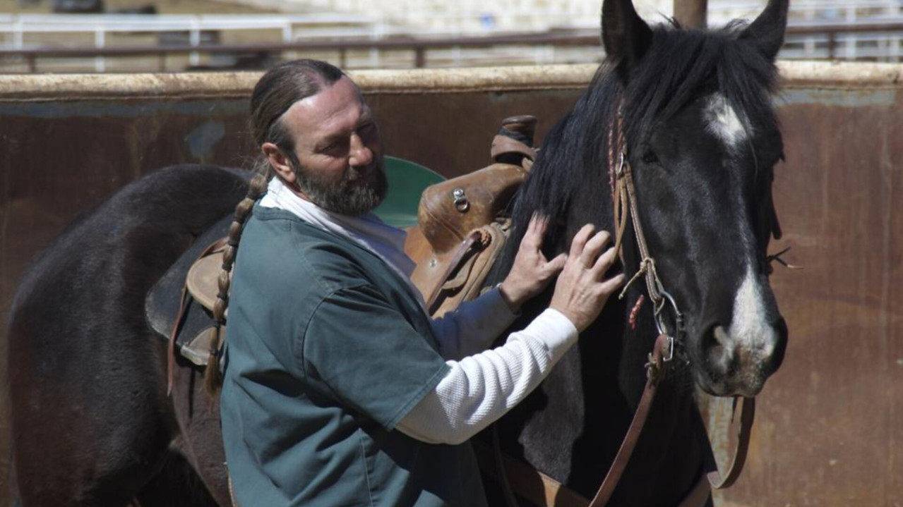 The Wild Horse Redemption
