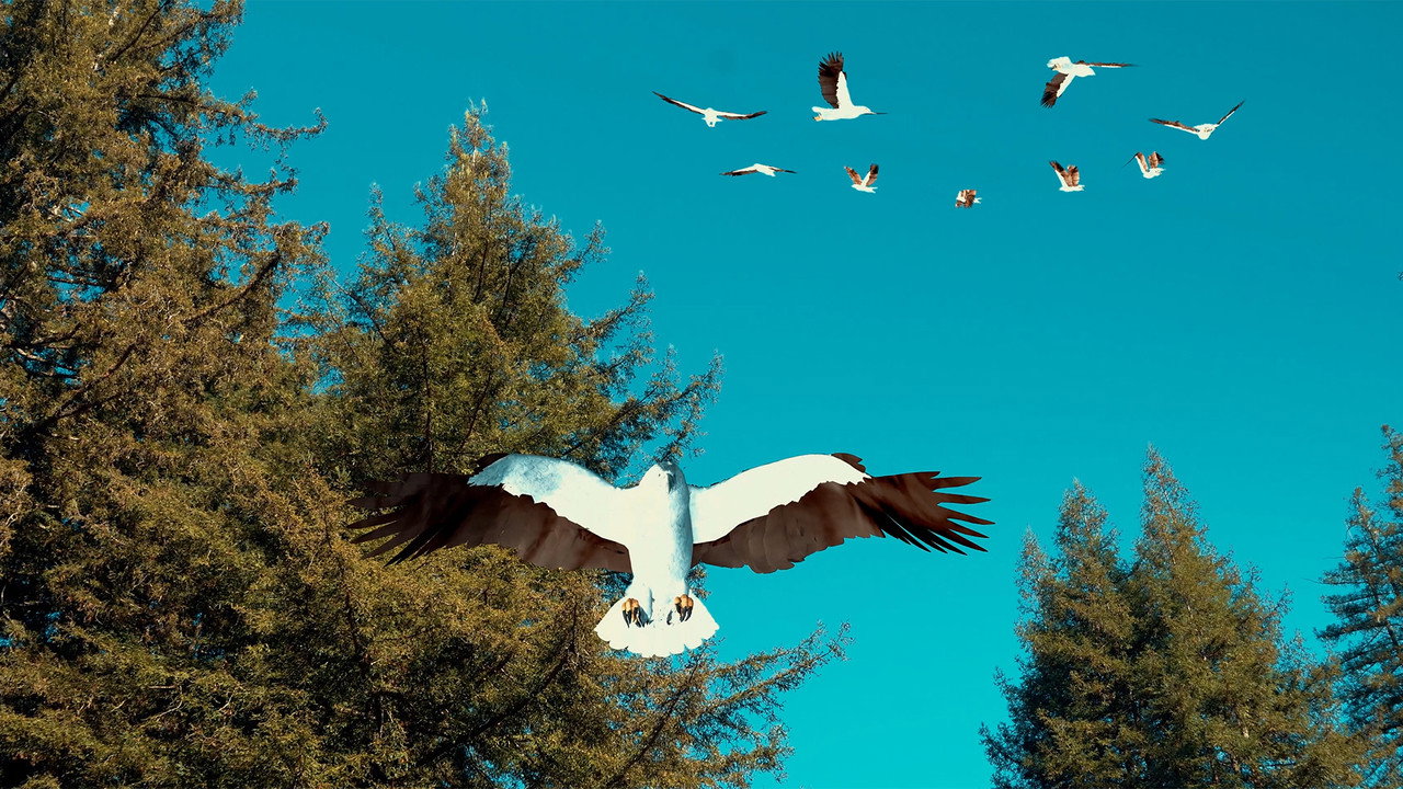 Birdemic 3 : Sea Eagle