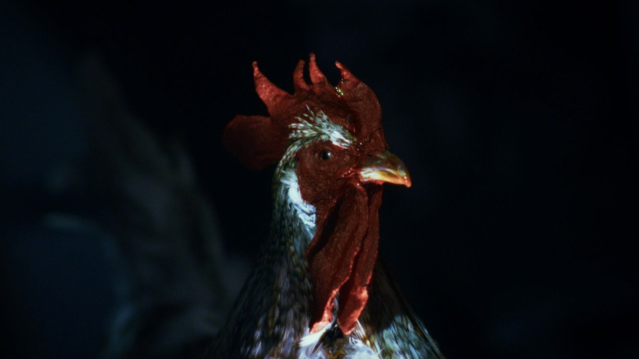 Rooster Road