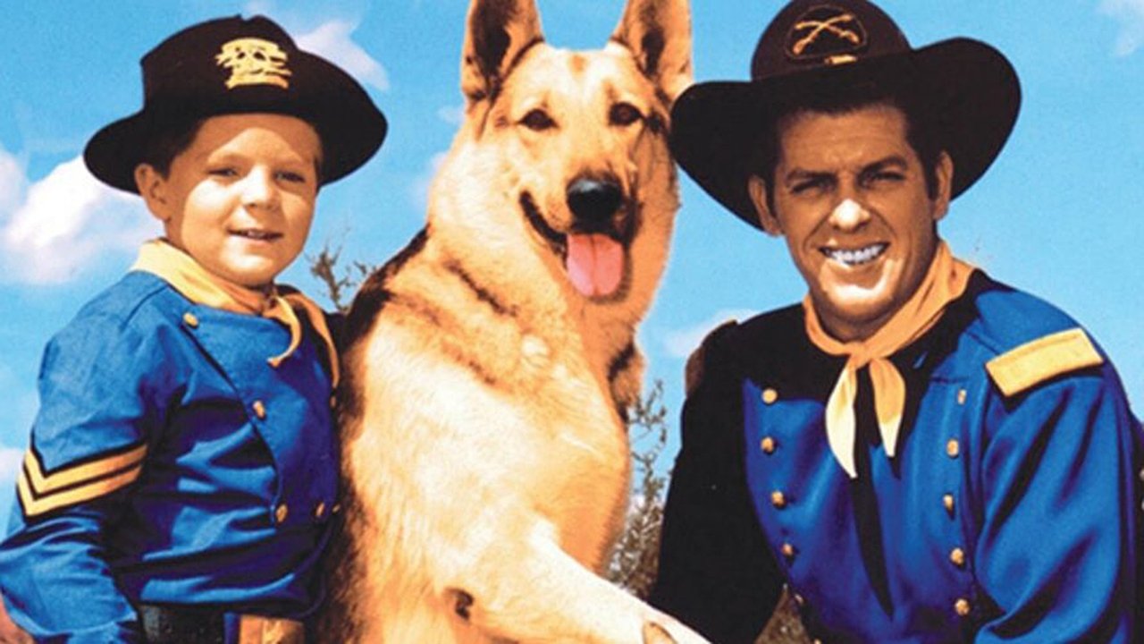 Les Aventures de Rintintin