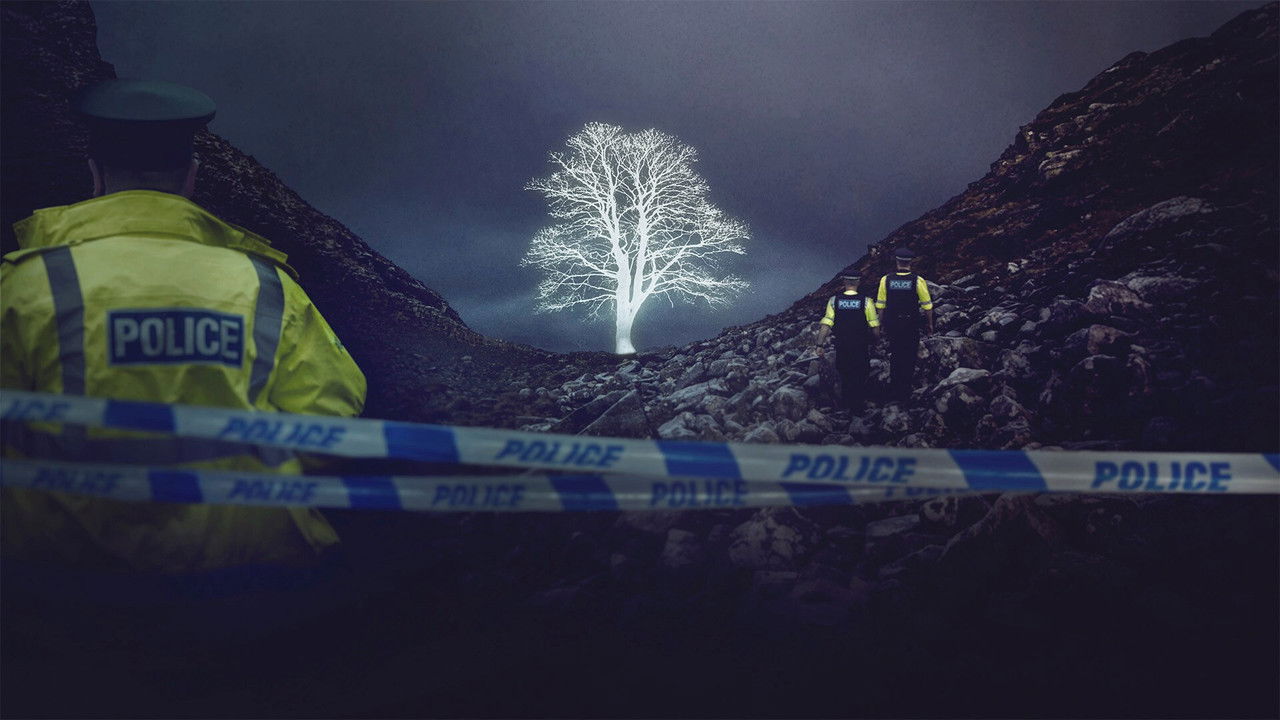 The Sycamore Gap Mystery