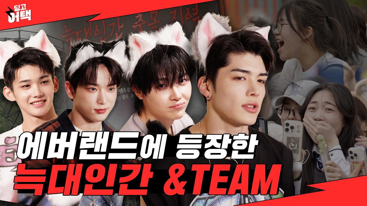 딩고 어택