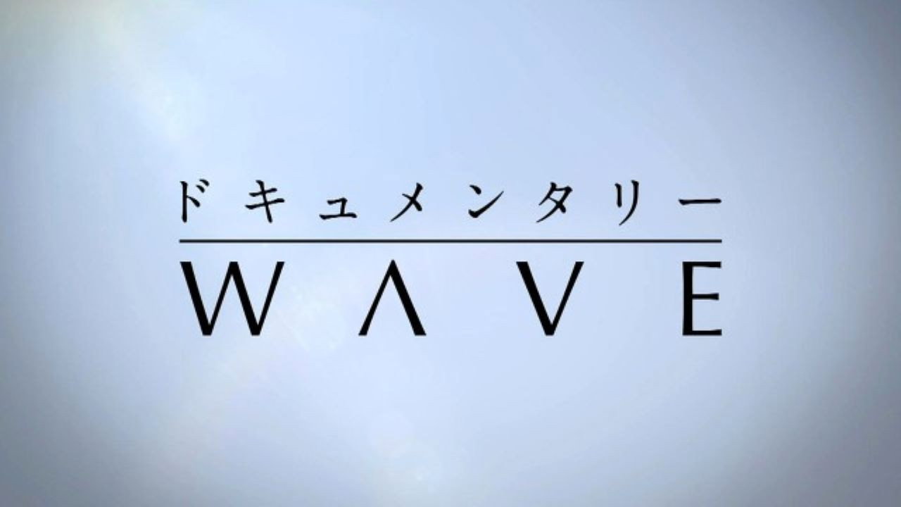Documentary WAVE