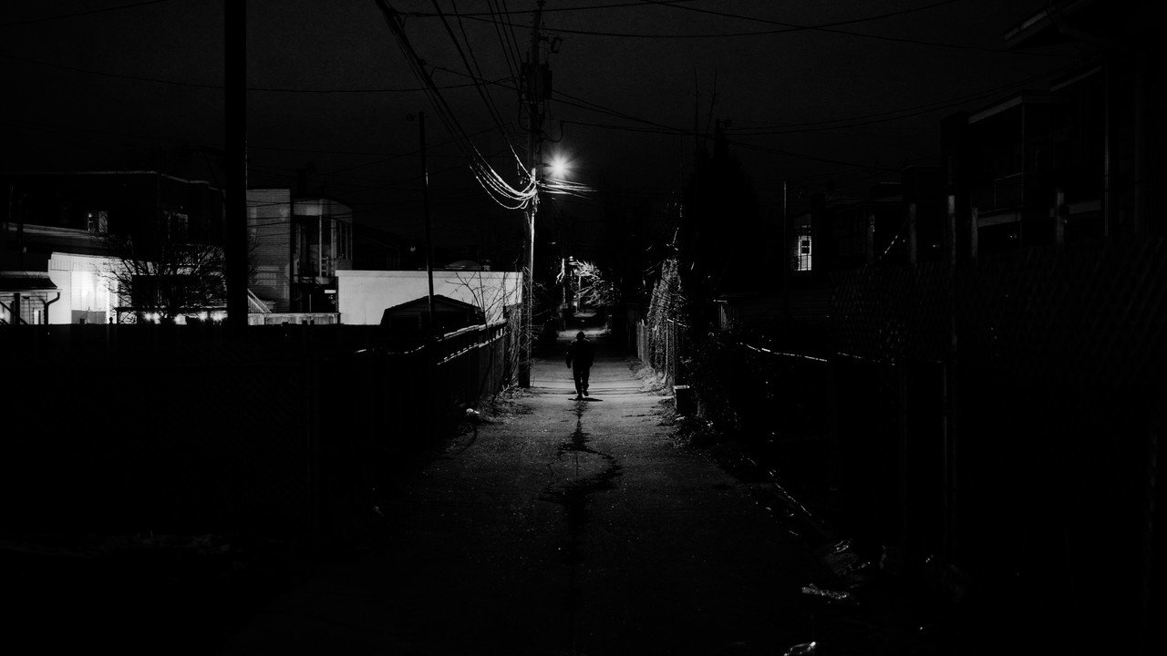 The Writer