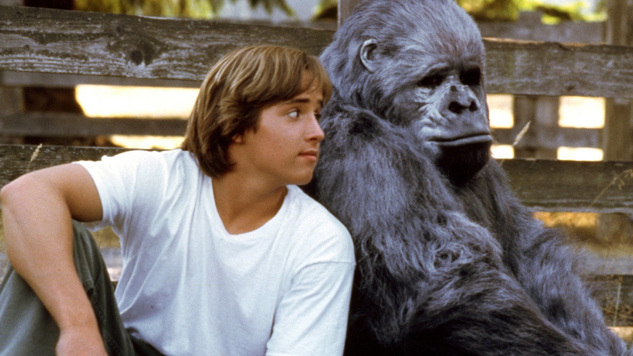 Drôle de singe