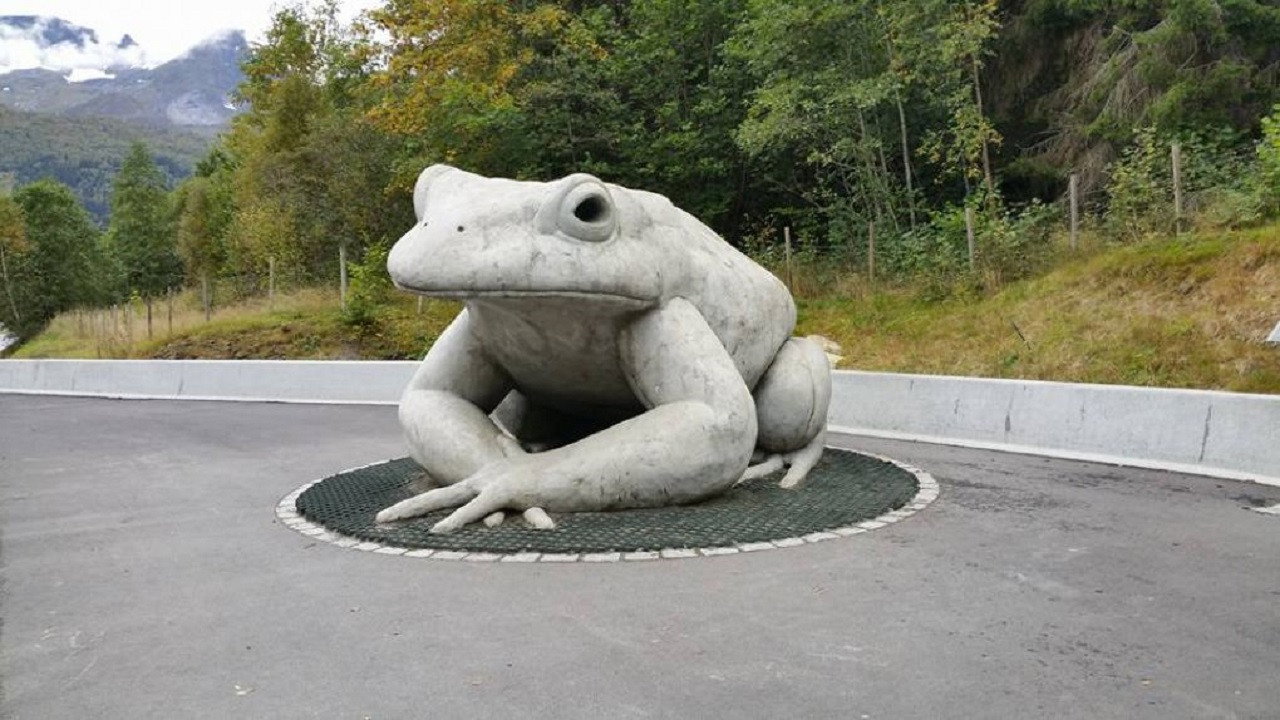 A Toad Story