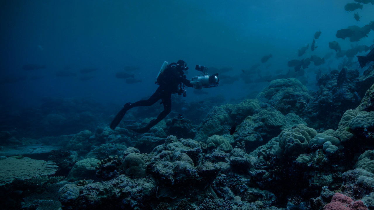 La Terre, La Nuit : La face cachée