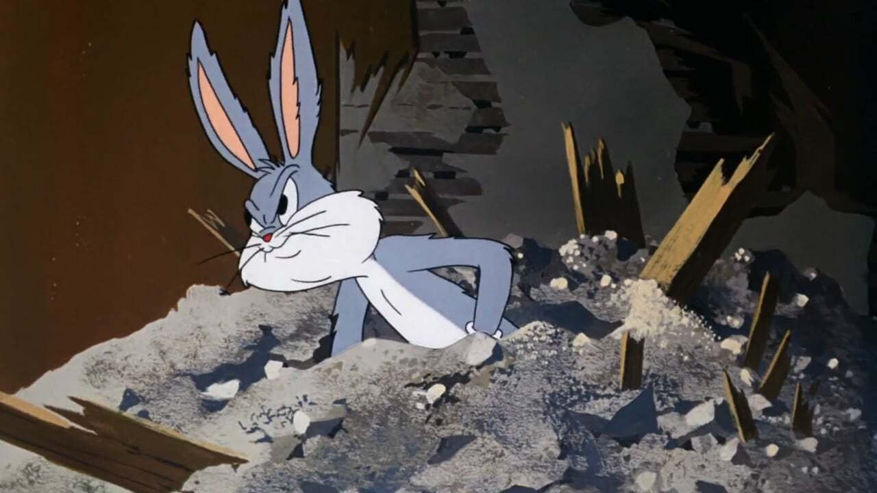 Un incroyable lapin
