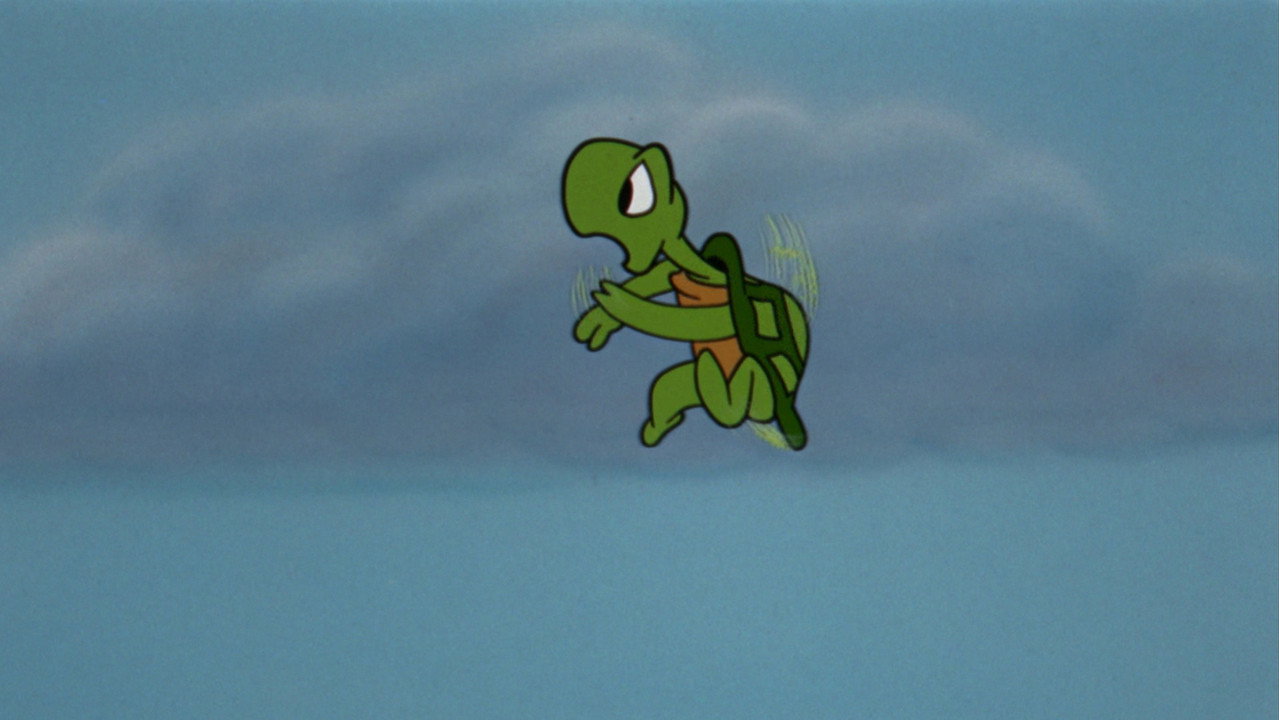 The Flying Turtle