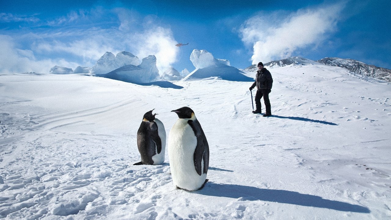 Antarctica - Une année sur la glace