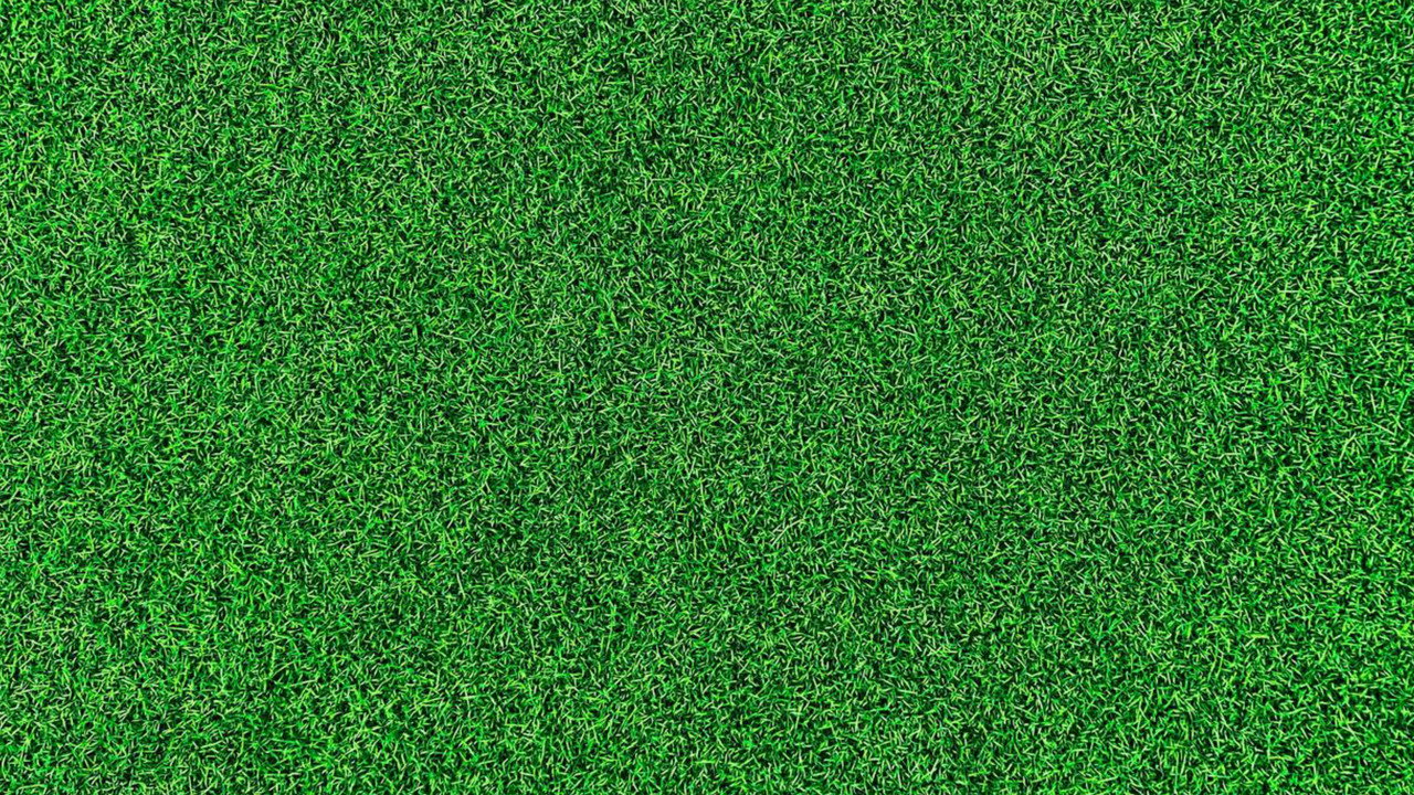 Life on the Green