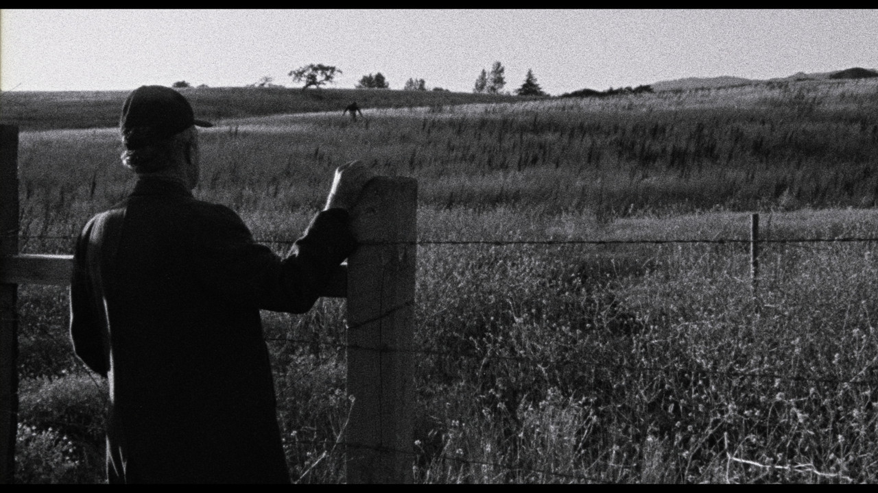 Faith of Our Fathers, a film by Hamilton Sterling