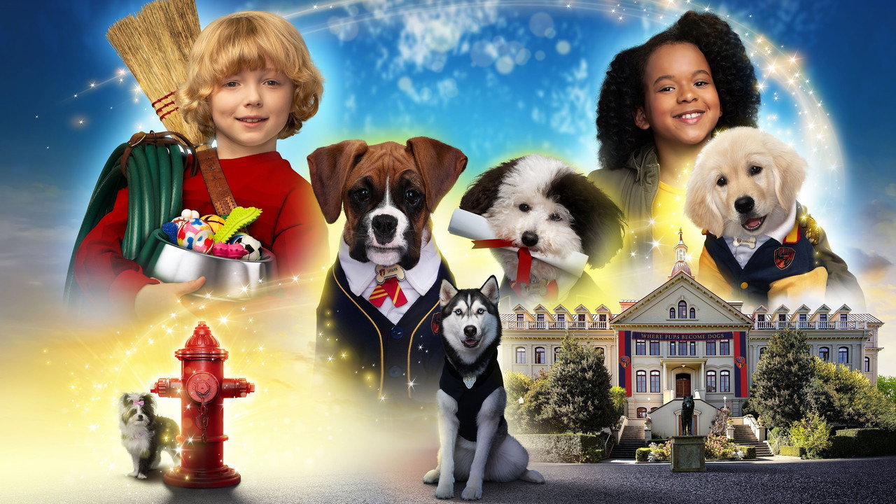 Pup Academy : L'école secrète