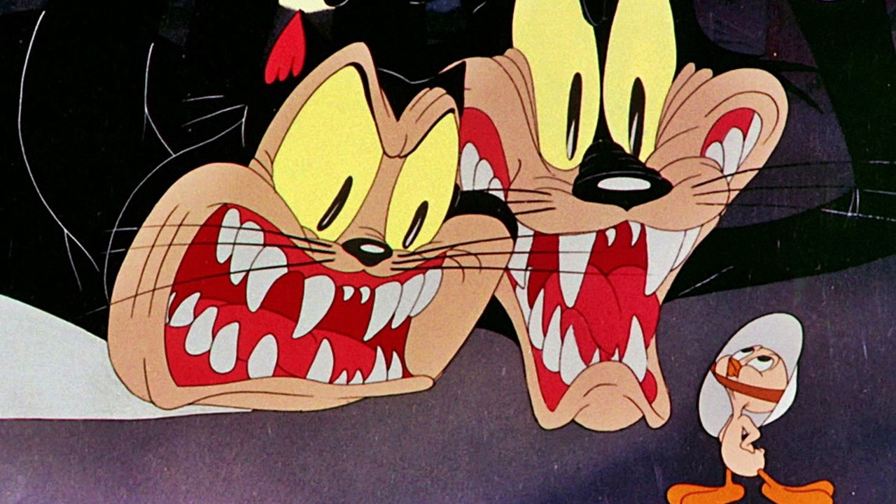 Histoire de chatons