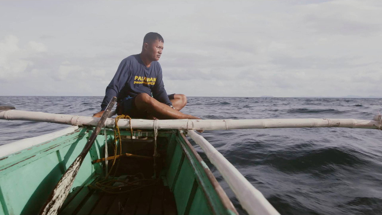 Philippines, sauver la forêt au péril de sa vie