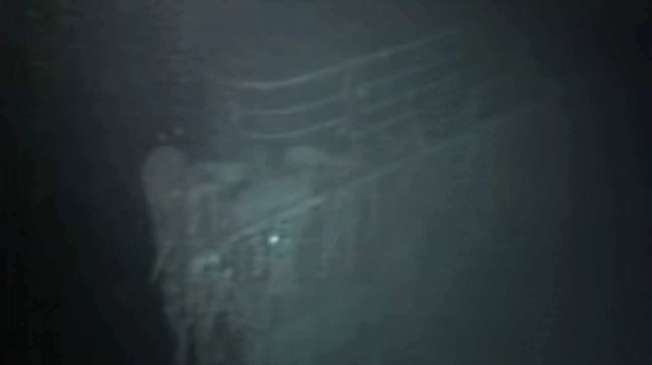Titanic: The Nightmare and the Dream