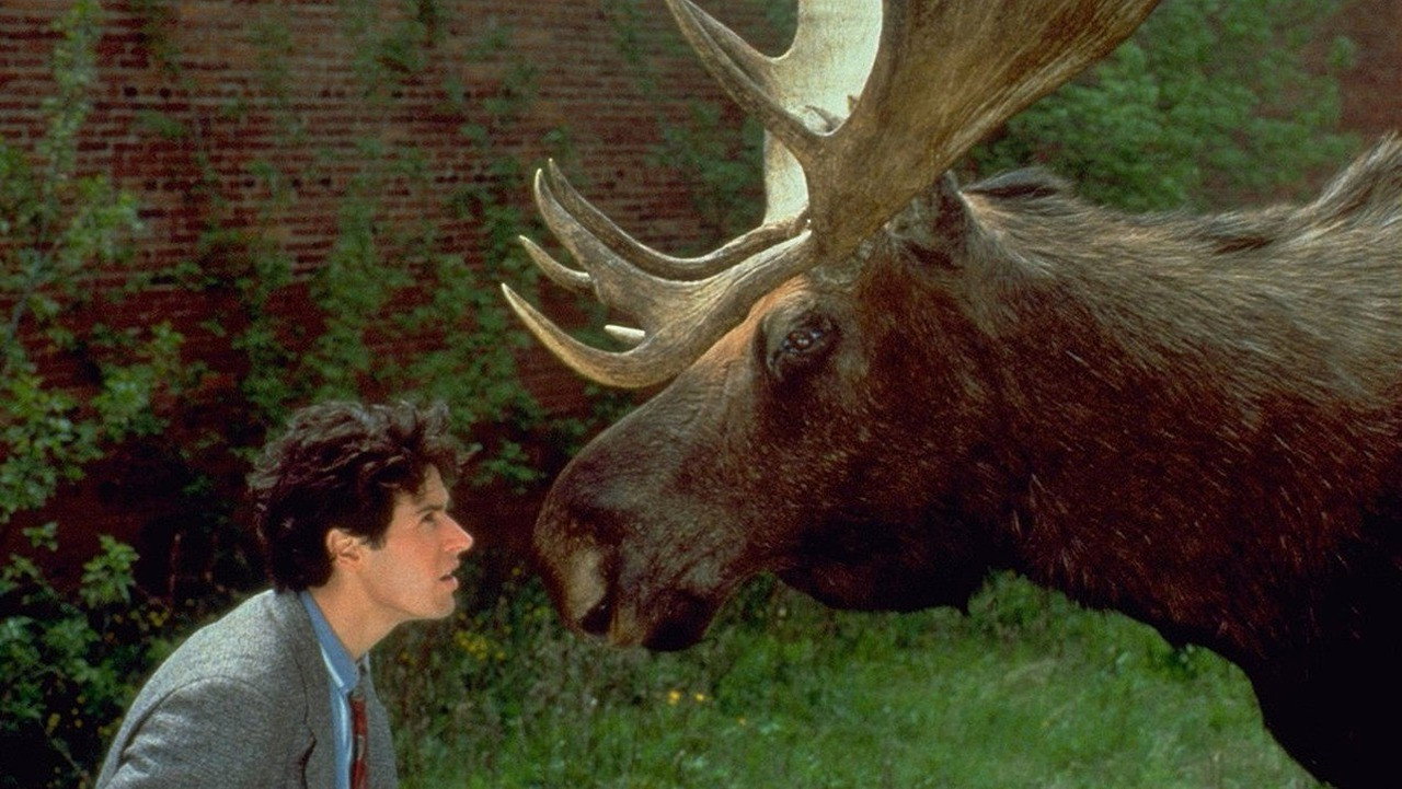Bienvenue en Alaska