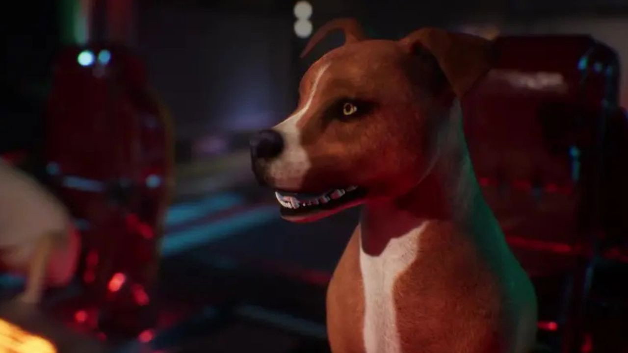 00K9: Operation Christmas