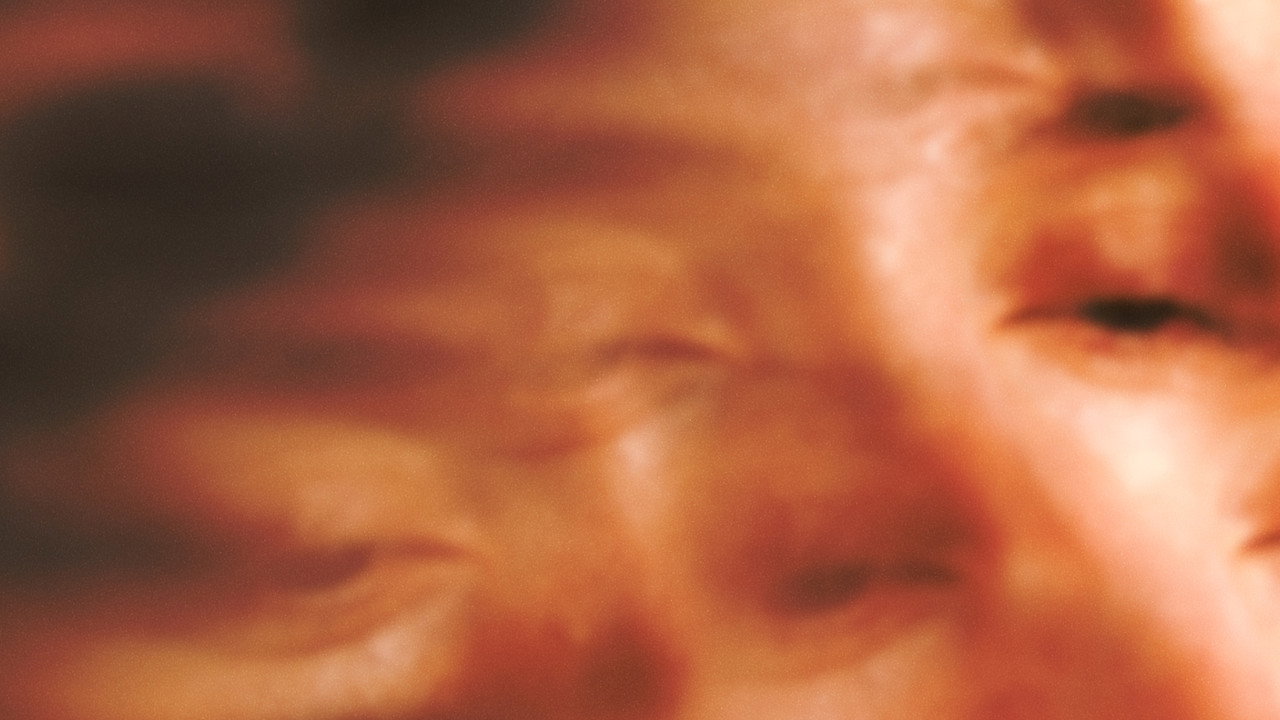 Son of Sauna
