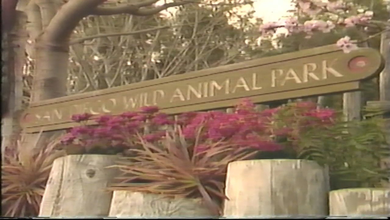VideoTours: San Diego Wild Animal Park