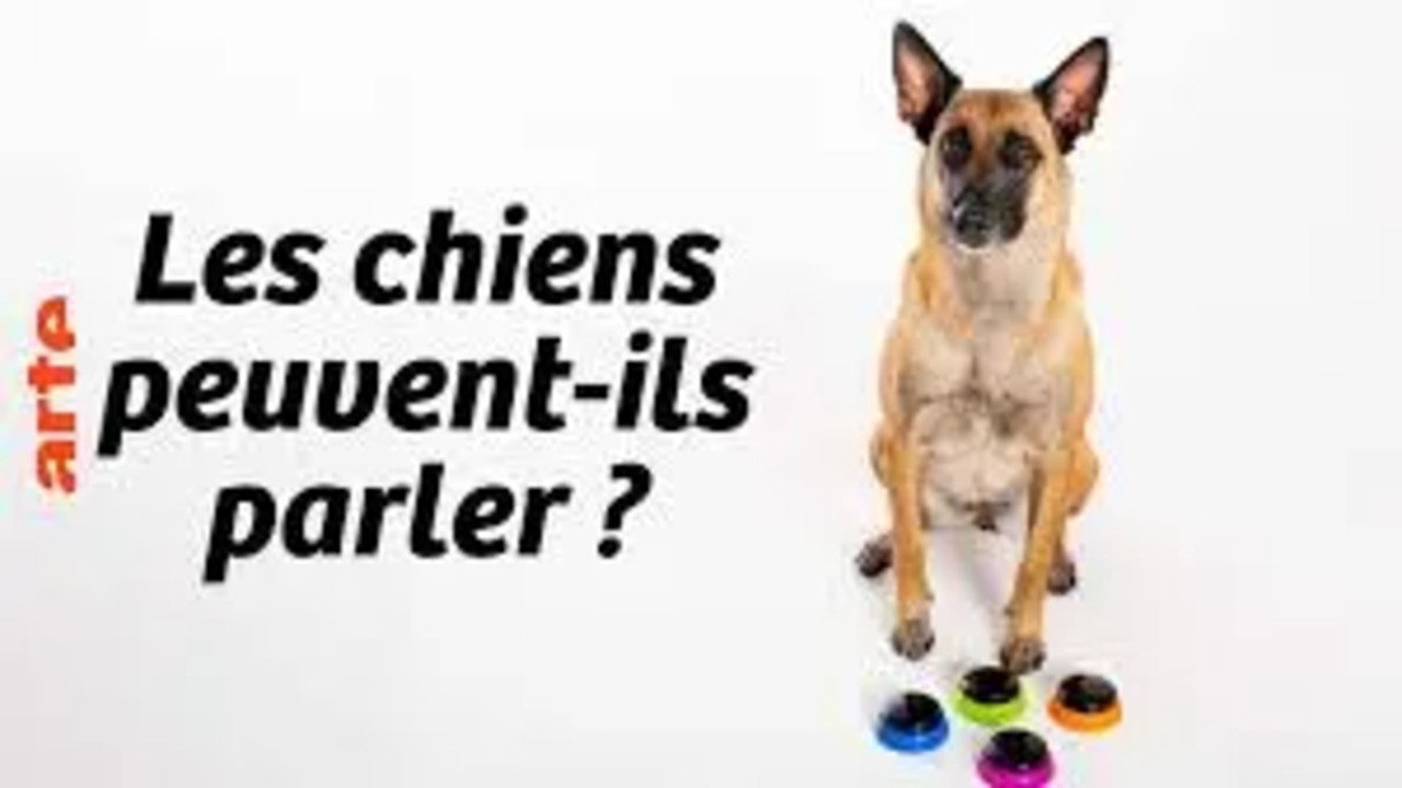 Les chiens peuvent-ils parler ?
