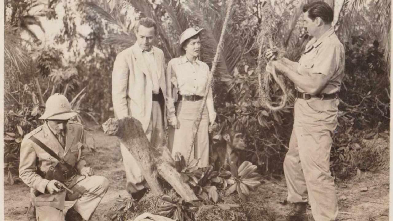 Jungle Jim et la Vallée des Chasseurs de têtes