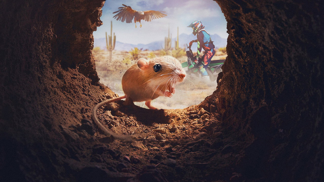 La vie discrète des petites bêtes