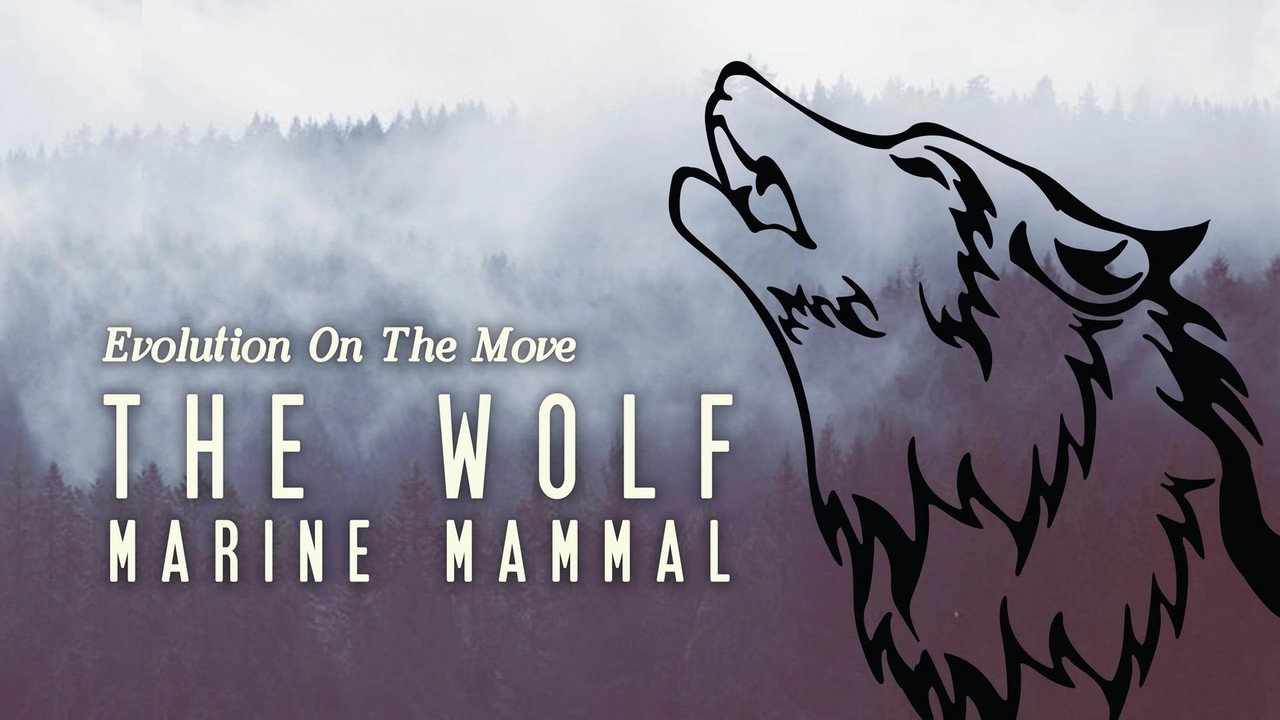 The Wolf: Marine Mammal