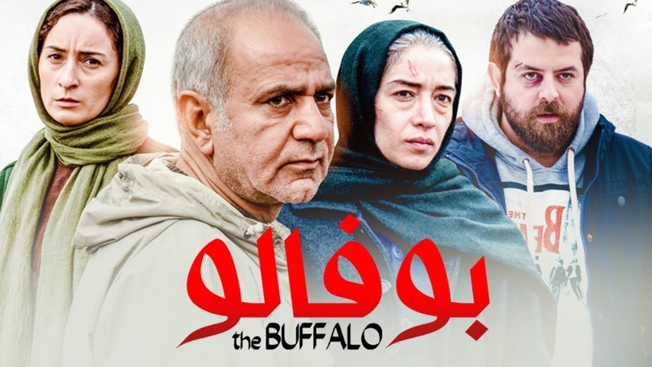 بوفالو