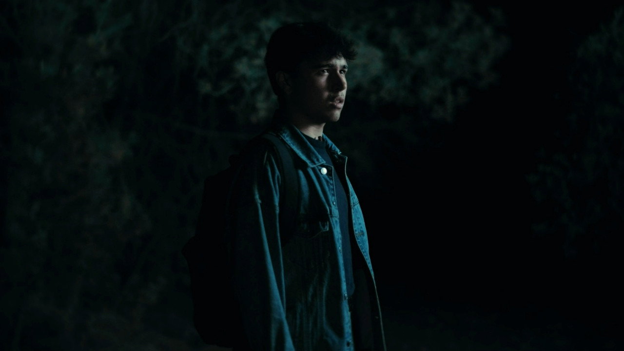 The Echo Forest