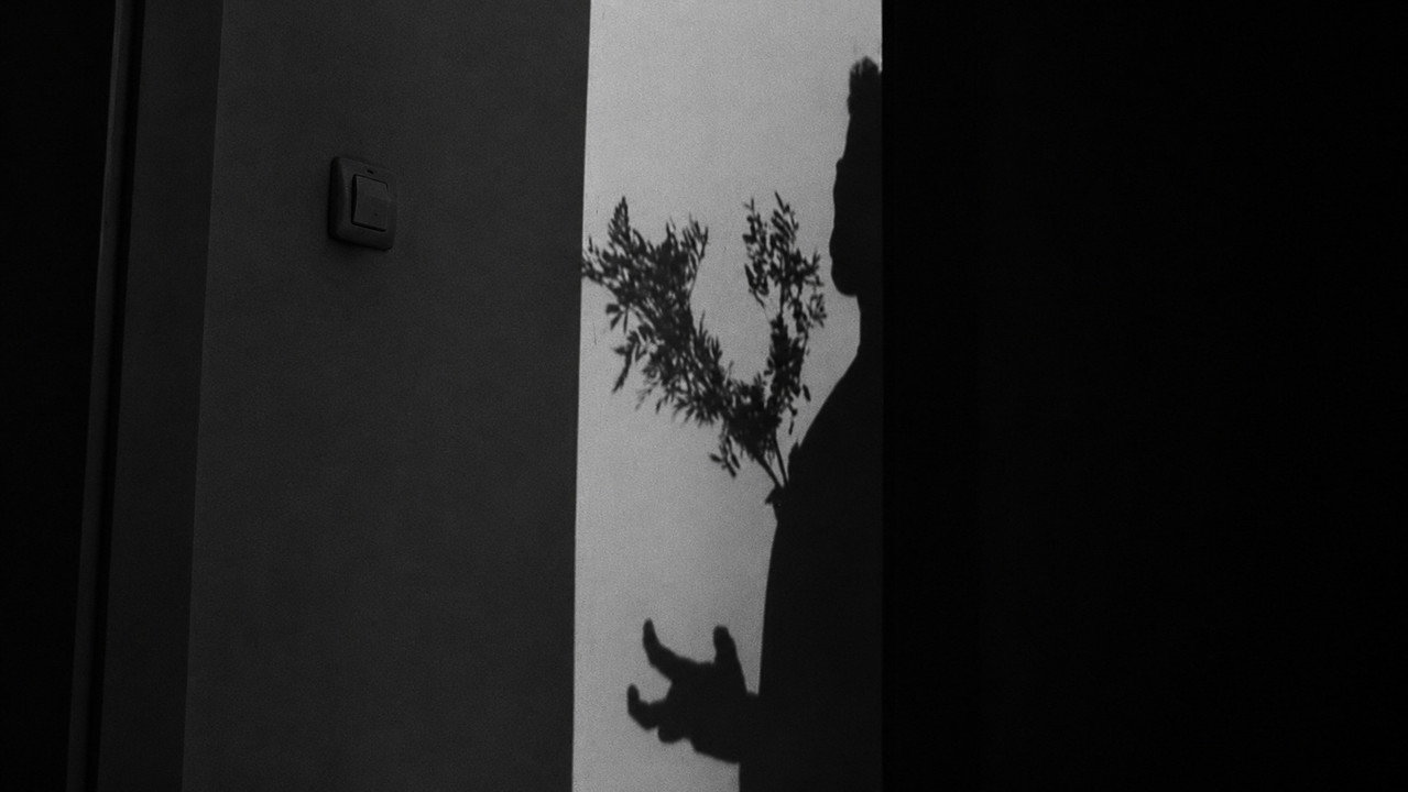 L'ARBRE
