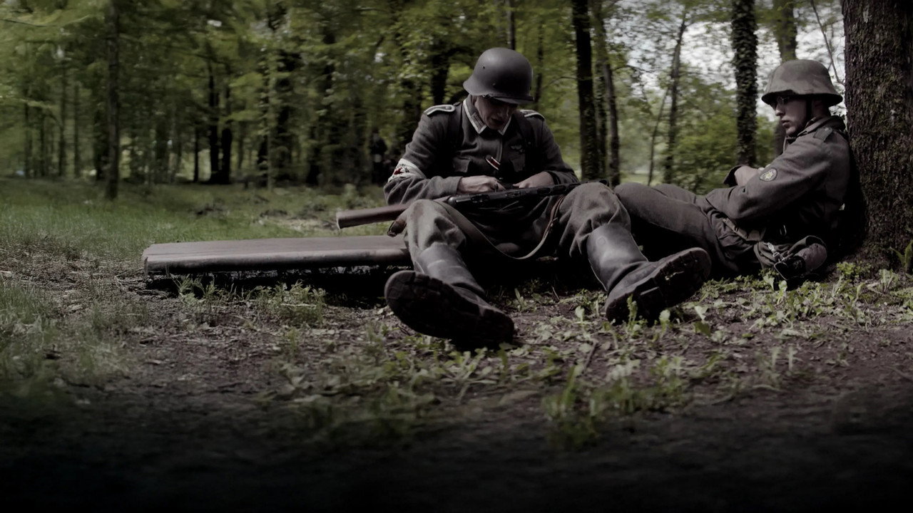 Hitler's Junkies