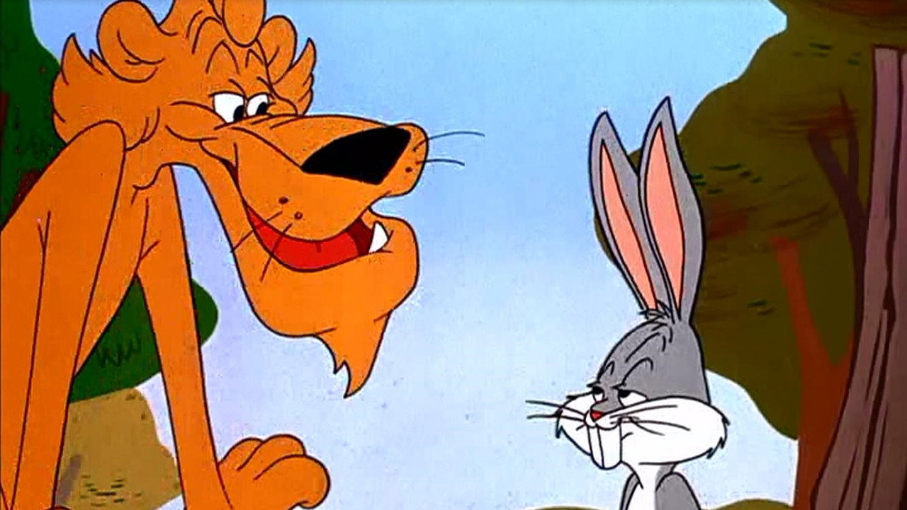Un puma bien frappé